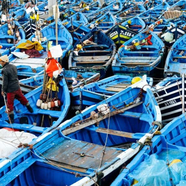essaouira 0CBtA6BY6eg unsplash scaled