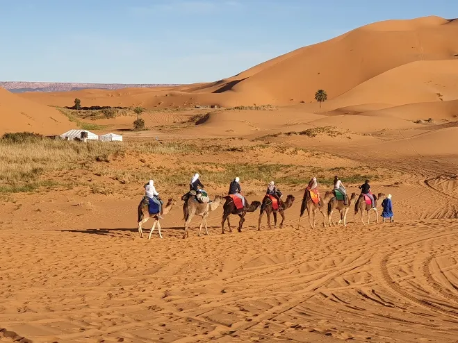 A group of individuals riding camels across a vast desert landscape under a clear blue sky Marrakech desert excursions