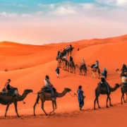 People riding camels traverse a vast desert landscape under a clear blue sky, showcasing the beauty of the arid environment marrakech desert tour