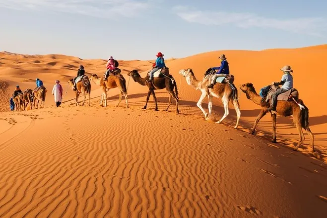 A group of individuals riding camels across a vast desert landscape under a clear blue sky Marrakech desert excursions