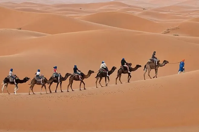 A group of individuals riding camels across a vast desert landscape under a clear blue sky marrakech desert tour