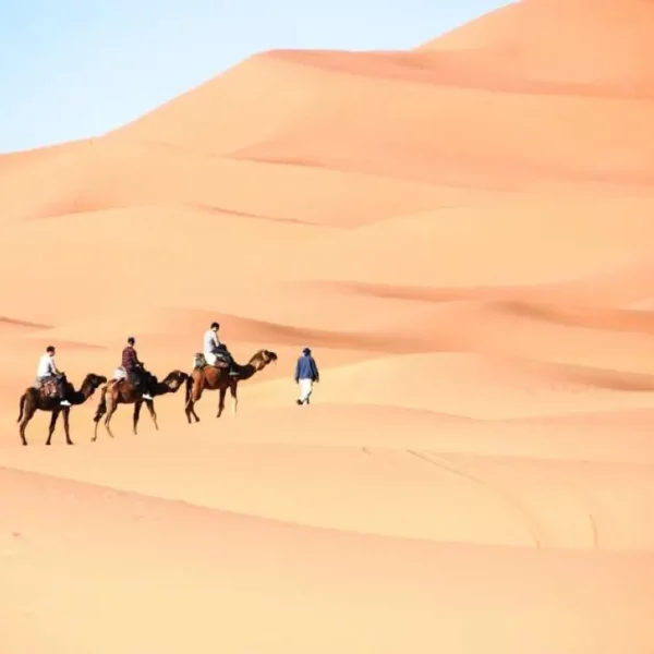 Experience Unforgettable Marrakech Desert Excursions