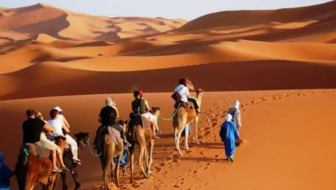 A group of individuals riding camels across a vast desert landscape under a clear blue sky moroccan desert tour