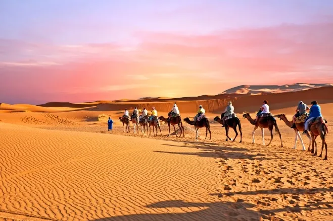 A group of individuals riding camels across a vast, sandy desert landscape under a clear blue sky moroccan desert tour