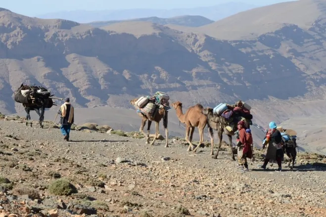 People walking alongside camels on a rugged mountain trail, surrounded by rocky terrain and scenic views marrakech desert tour