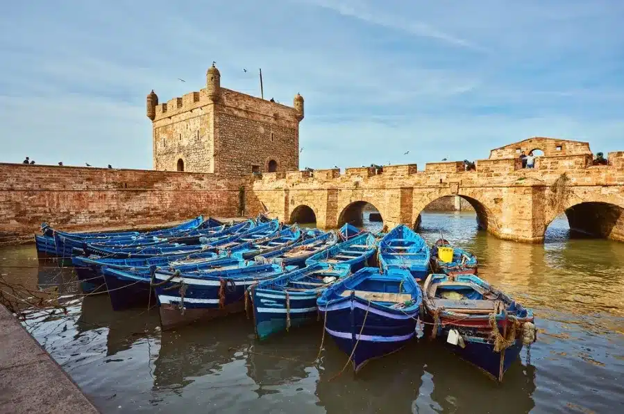 Fishing boats docked in the harbor of the historic city of Tunis, Morocco, showcasing vibrant colors and local culture.