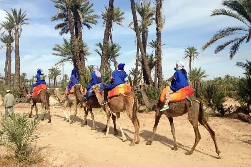 A family in blue outfits joyfully rides camels during a tour in Morocco's scenic landscape.