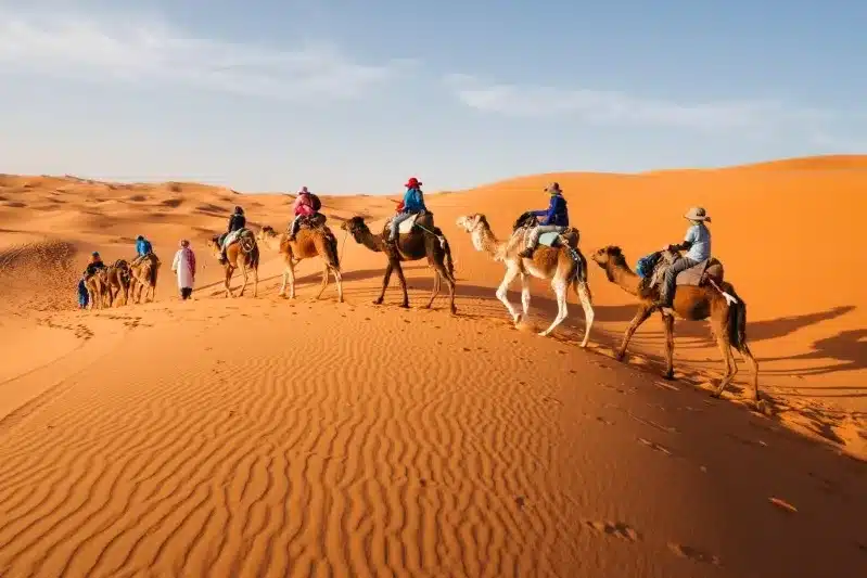 A group of travelers riding camels across the Fes to Sahara desert tour, surrounded by golden sand dunes. 