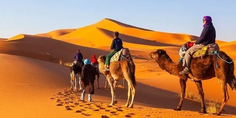 Group of travelers on camels traversing the tour Marrakesh to Sahara desert to explore the arid beauty.