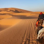 The Mystique of Sahara Dunes D