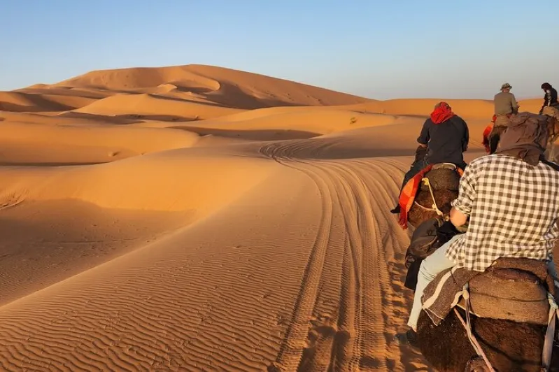 A group of travelers riding camels across the vast, sandy expanse of the Moroccan desert under a clear blue sky