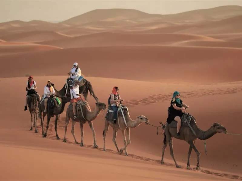 A group of travelers riding camels across the vast desert landscape during their week-long adventure in Morocco.