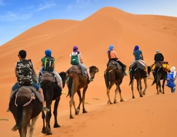 Camel Trekking in Morocco in 2025
