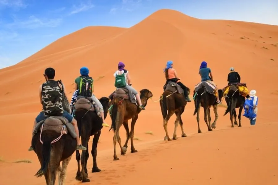 A group of individuals riding camels across the vast desert landscape during a camel trekking adventure in Morocco.