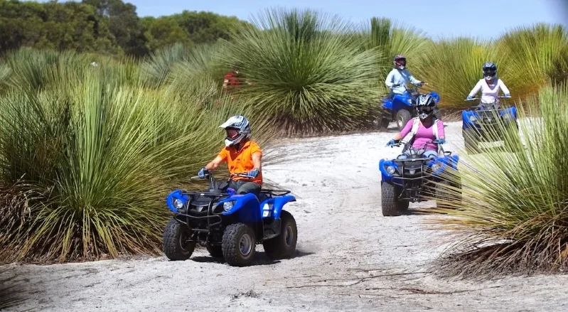 Four individuals navigate ATVs through tall grass during a quad biking adventure in Morocco.