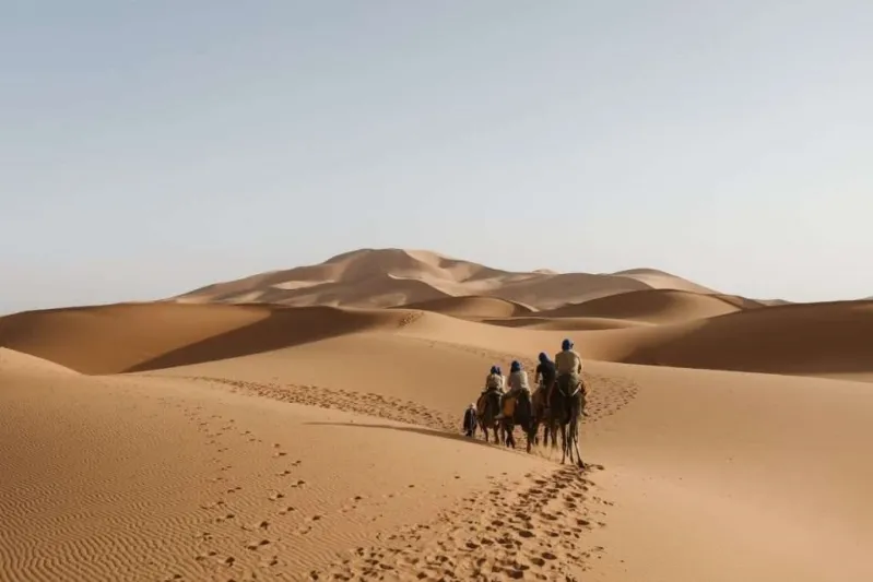 Three individuals ride camels across the Moroccan Sahara, traversing the vast, sandy landscape under a clear sky.
