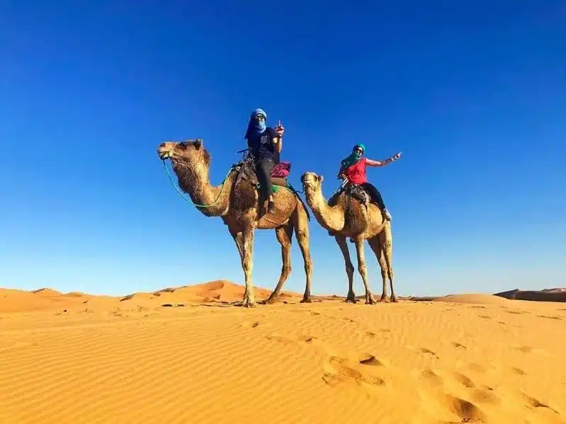 Two individuals riding camels across the Moroccan desert under a clear blue sky, showcasing a scenic excursion.
