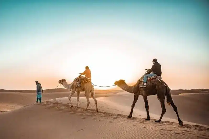 Three individuals riding camels across the Moroccan desert at sunset, showcasing the beauty of Sahara tours. 