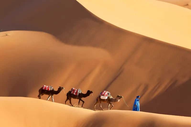 A man walks alongside his camels through the vast desert landscape of Morocco, showcasing the region's natural beauty.