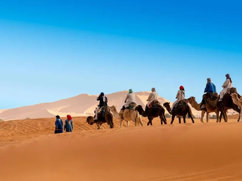 A group of travelers riding camels through the vast expanse of the Merzouga Desert, surrounded by golden sand dunes. 