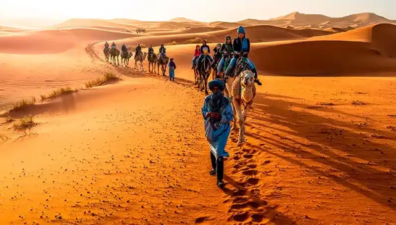 Individuals on camels navigate the expansive desert terrain of Morocco's Sahara, highlighting a unique travel experience.