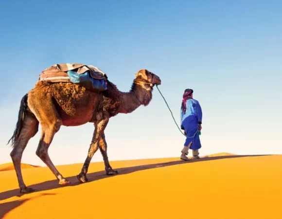 Experience the Magic of the Desert: Best Morocco Sahara Tours Await!