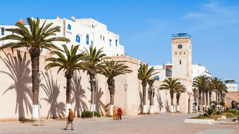 A man strolls along a palm tree-lined street, enjoying a family adventure essaouira quad & horse riding tours.
