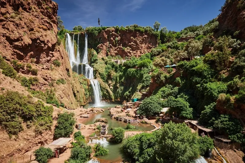 The Ouzoud Waterfalls flow gracefully down a cliff, enveloped by lush greenery, showcasing nature's beauty.