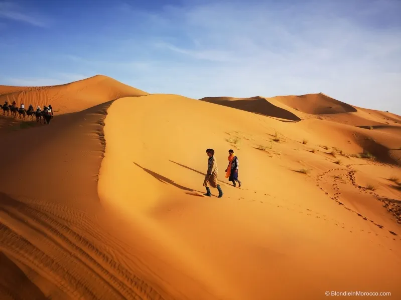 A group of travelers walking through the vast Sahara Desert during a tour in Morocco, surrounded by golden sand dunes.
