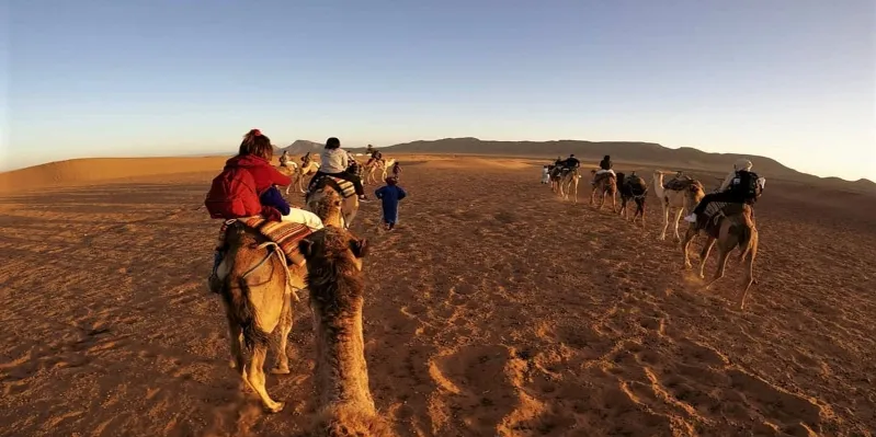 People riding camels through the Zagora Desert at sunset, with warm hues illuminating the vast sandy landscape.