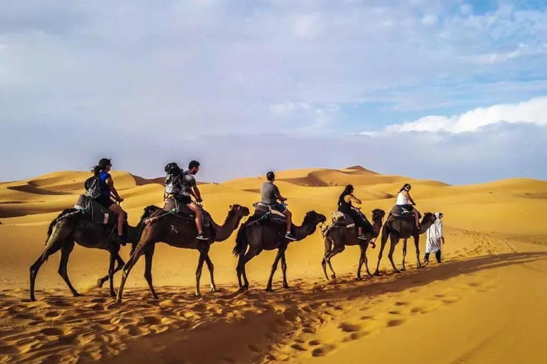 Four individuals riding camels across a vast desert landscape during a 2 Days Tour from Marrakech to Merzouga.