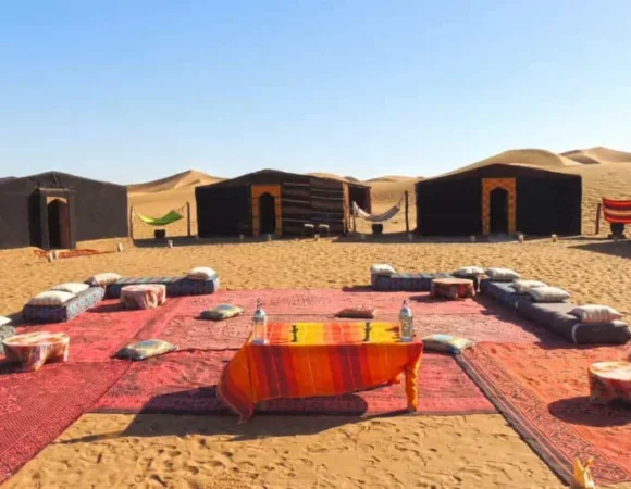 Exploring Zagora Desert: Your Ultimate Guide to an Unforgettable Moroccan Adventure