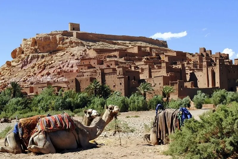 A camel resting in front of a building, showcasing the experience of an overnight camel trek in Merzouga.