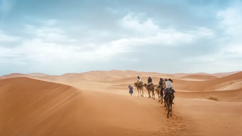 People riding camels across the vast Sahara Desert during a camel ride experience in Casablanca.