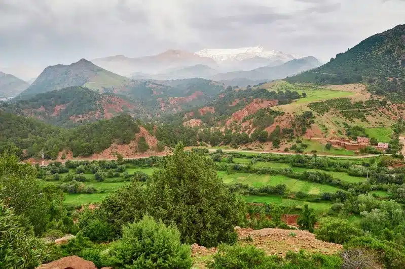 A lush green valley with mountains in the background, showcasing the natural beauty of Morocco's landscape.best time of year to travel to morocco