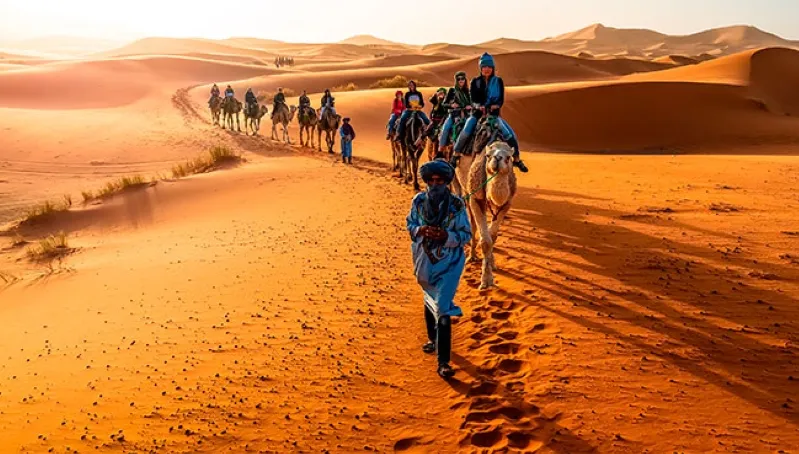 People riding camels traverse the sandy landscape of the Movernight camel trek merzouga.