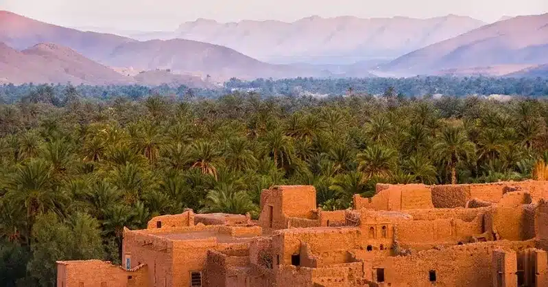 A desert landscape featuring palm trees in the foreground and mountains in the background, when is the best time to travel to morocco.
