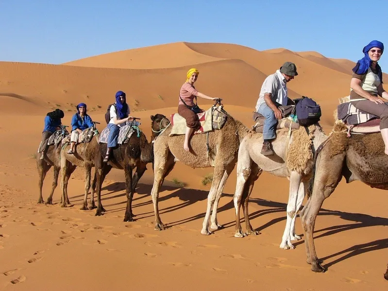 A group of people enjoying a camel ride in merzouga landscape of Merzouga, surrounded by sand dunes. 