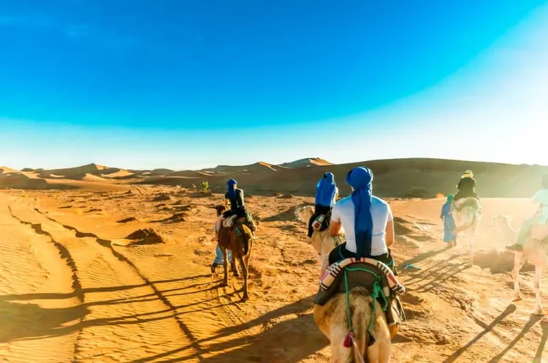 Tourists enjoy a morocco camel ride in the Moroccan desert, with a vibrant blue sky overhead.