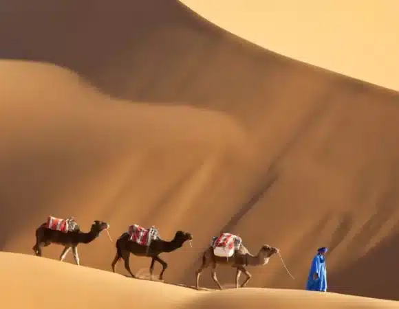 Discover the Best Time to Travel to Morocco in 2025