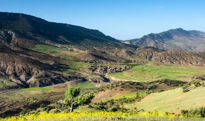 Scenic view of Morocco's mountains and valleys blanketed in vibrant yellow flowers, best time to travel to morocco.