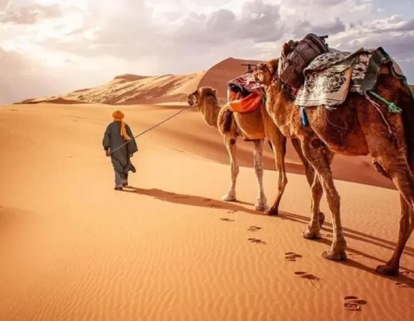 Memorable Merzouga Camel Ride at a Lower Cost