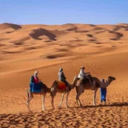 Three individuals riding camels across the vast Sahara Desert in Morocco, with golden sand dunes in the background.