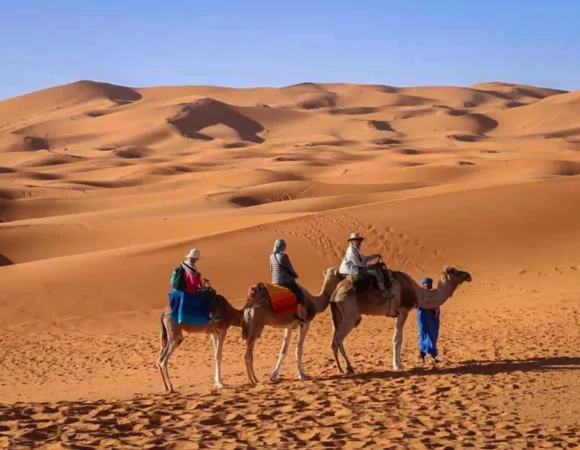Discover the Thrill of a Morocco Camel Ride in 2025
