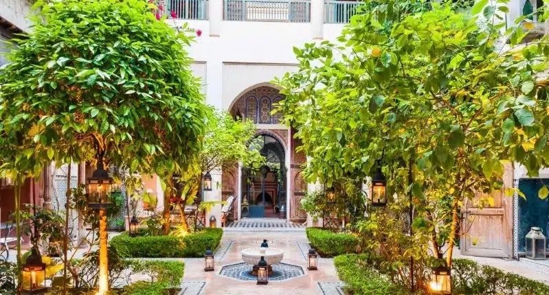A Luxury Hotels Morocco, filled with greenery from trees and plants, offering a peaceful retreat.