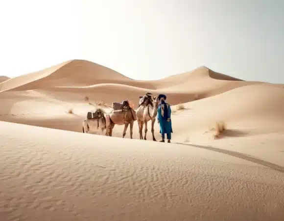 Unlock the Magic of Morocco: Finding the Right Morocco Travel Agents to Craft Your Dream Trip