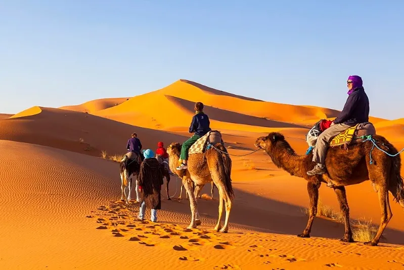 Berbers riding camels through the Moroccan desert, showcasing traditional attire against a vast sandy landscape.