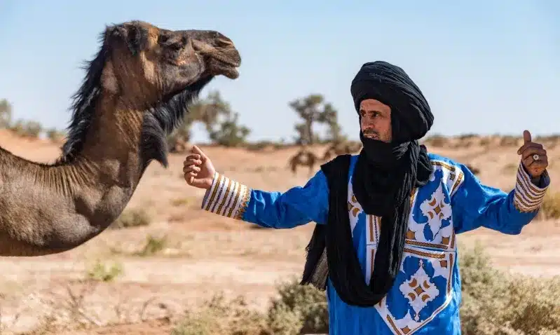 A man dressed in traditional Amazigh clothing points at a camel against a backdrop of Amazigh of Morocco .