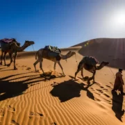 A man walks alongside his camels through the vast desert, showcasing a typical scene from Morocco tours starting in Casablanca.