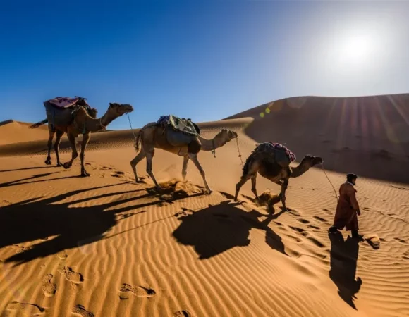 Unforgettable Journeys: Your Ultimate Guide to Morocco Tours from Casablanca with Morocco Desert Trips